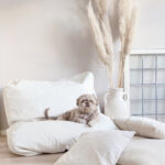 Dog'S Companion® Hundebett Ivory Leather Look With Hundebett Im Schlafzimmer