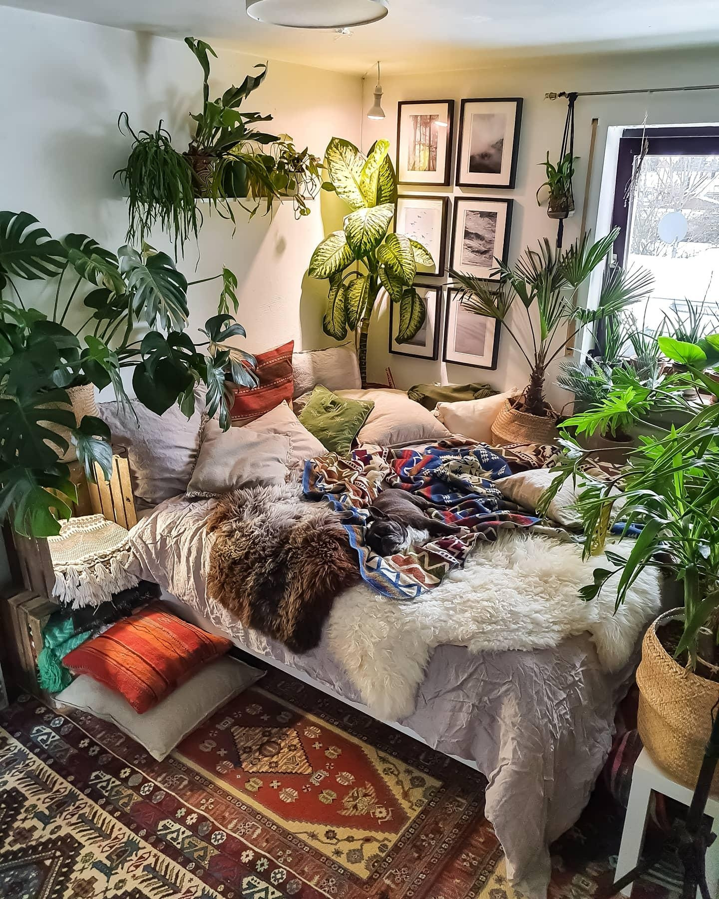 Let'S Go To Bed Boy #Schlafzimmer #Pflanzen #Boho #H in Hippie Schlafzimmer