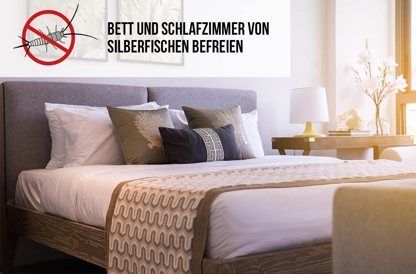 Silberfische Im Bett Und Im Schlafzimmer - So Werden Sie Sie Los throughout Silberfische Im Schlafzimmer